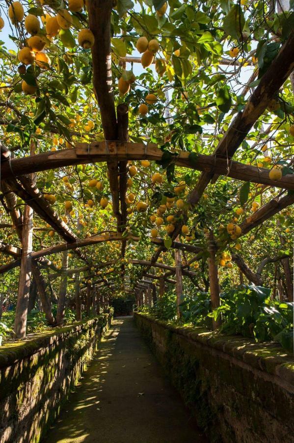 I Giardini Di Cataldo Sorrento Villa Eksteriør billede
